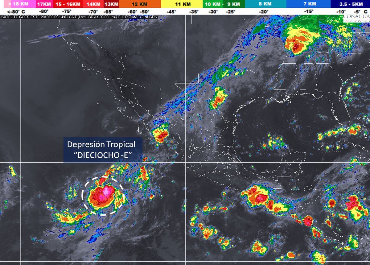 chematierra's tweet photo. AVISO:
Ya es depresión se forma la #DepresiónTropical #18-E •Vientos 55km/h
•980km al SW de #CaboSanLucas #BCSMex •Se mueve al WNW 19km/h
Vía @conagua_clima https://t.co/2nLDv5T3wi