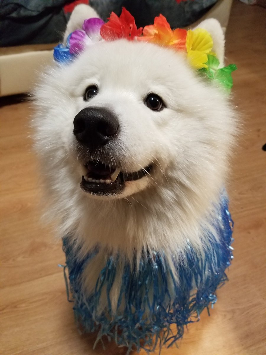 фейхуя (@Maemi_Maemi) | Twitter