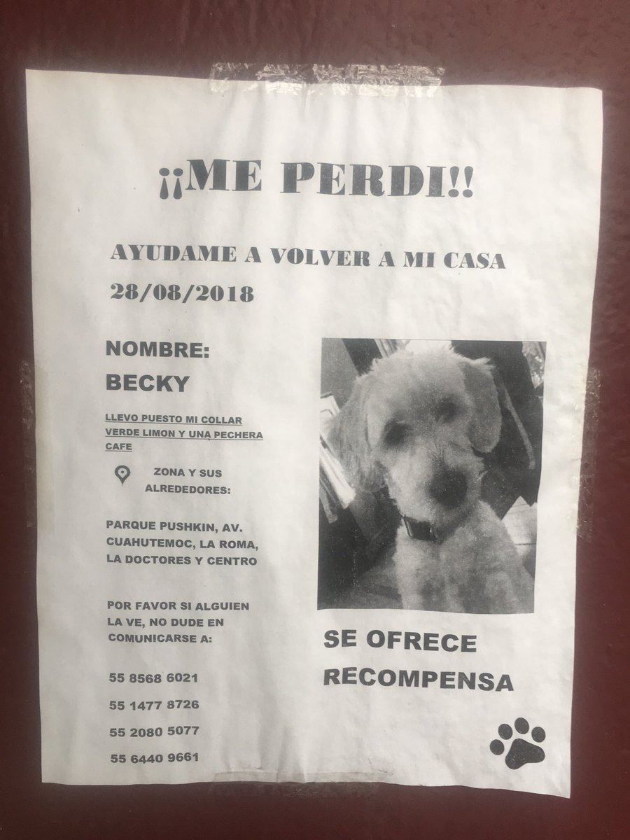 Ana J Villagrán tweet media