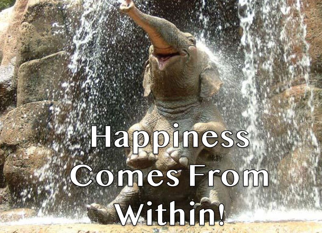 DaynaWunderkind's tweet image. yourmasterkeyexperience.com