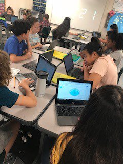 mbcovington2's tweet photo. Math Talk with a Mathematical Mindset!  Rogers 6th Math Ss working collaboratively to Classify Numbers:  Whole, Integer, Rational! @RMS6Eagles @ProsperRogersMS https://t.co/xOYjBGaemZ