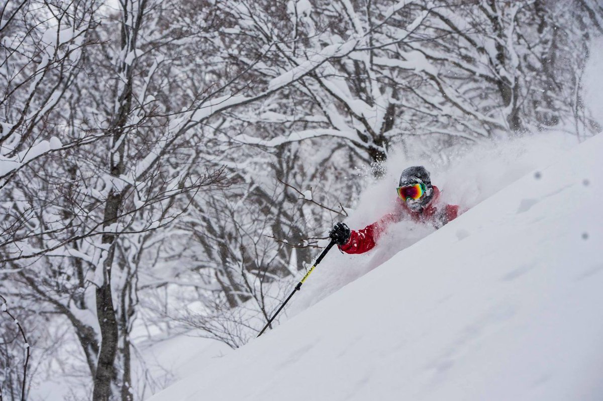 GetCaughtAdrift's tweet photo. "Niseko United receives 50+ feet of snowfall every winter with just 7% of water #Content" - The #IkonPass Now Offers Access Across 3 Continents with the Addition of Niseko United, Japan @@Snowbrains 📚 🏂 🌊 🎫 🚶‍♀️ https://t.co/6UaVdCxEdg https://t.co/xztpqbm42l