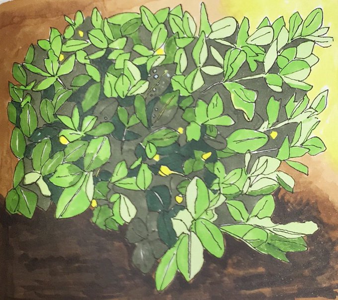 落花生のtwitterイラスト検索結果 古い順