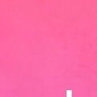WhatSheShared tweet picture