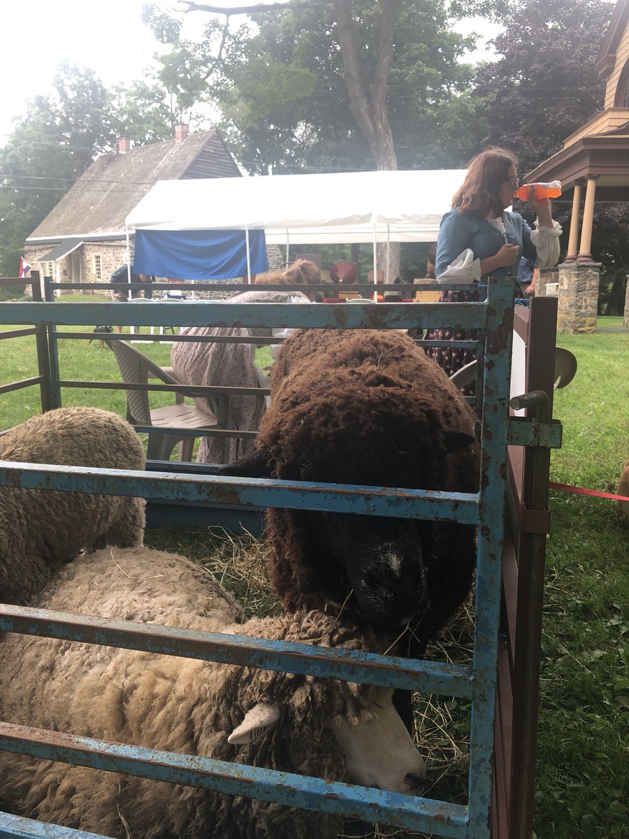 #stonehouseday #huguenotstreet