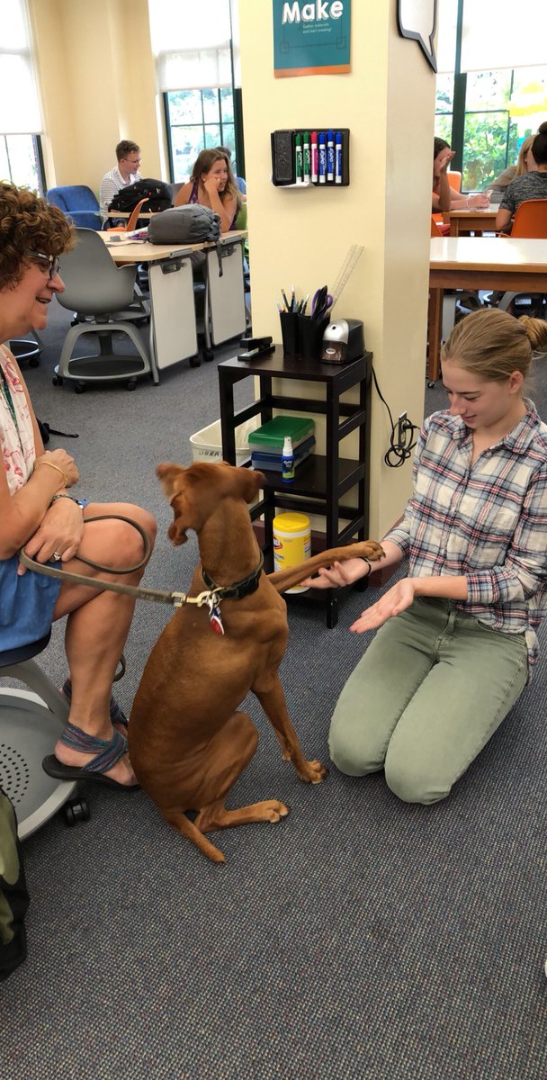 WALibrary's tweet photo. It was a fun &amp; busy week in the library with independent reading classes, researching the Middle Ages, &amp; therapy dogs visiting on Friday. https://t.co/alRhD9eCws