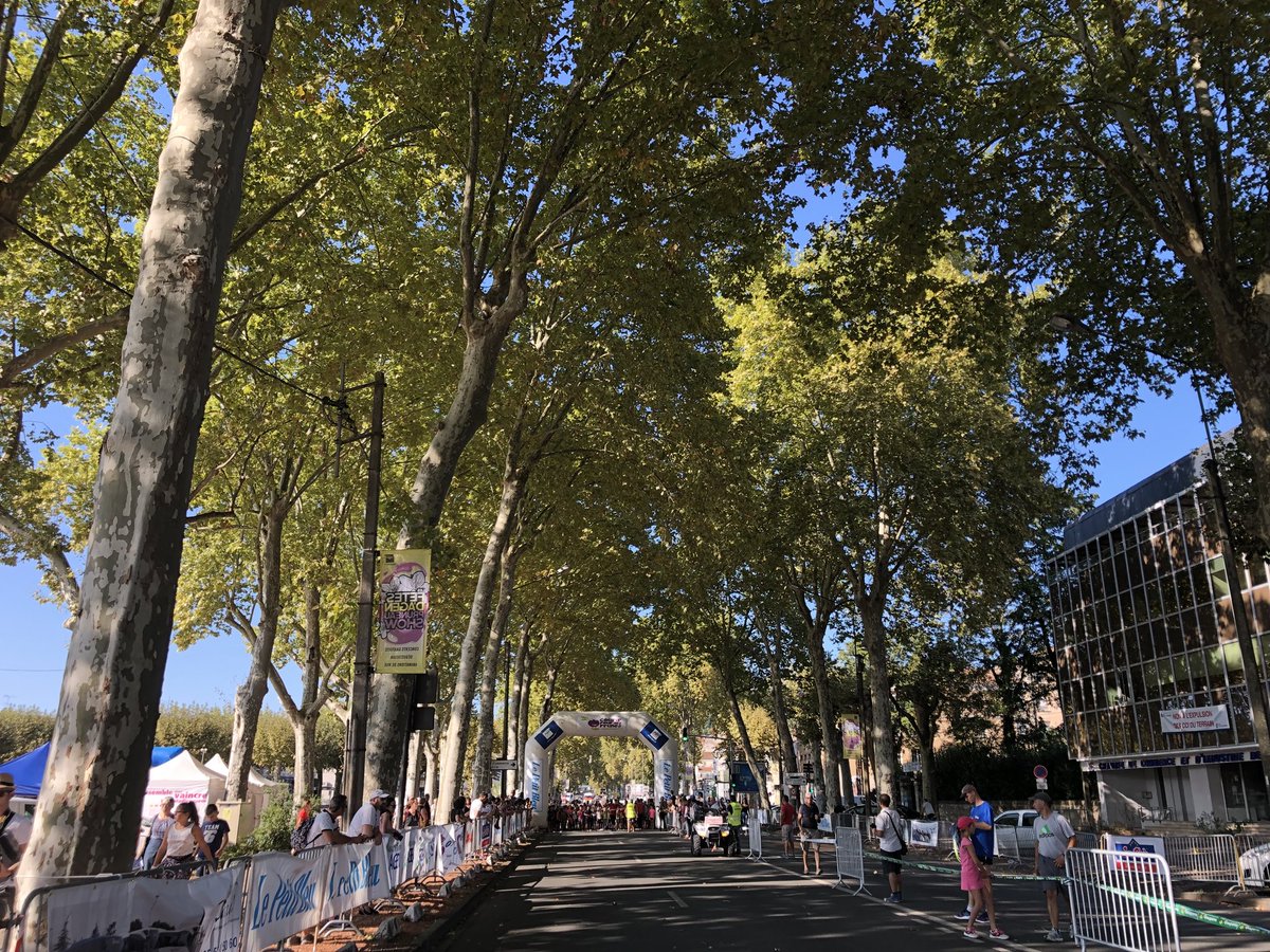 mel_gregtwit's tweet photo. En direct live du lancement des 40emes Foulées du Petit Bleu @villeagen @petitbleuagen journée parfaite ! Course enfant en avant 💪🏻🏃🏻‍♂️ https://t.co/7a3S7QIoSR