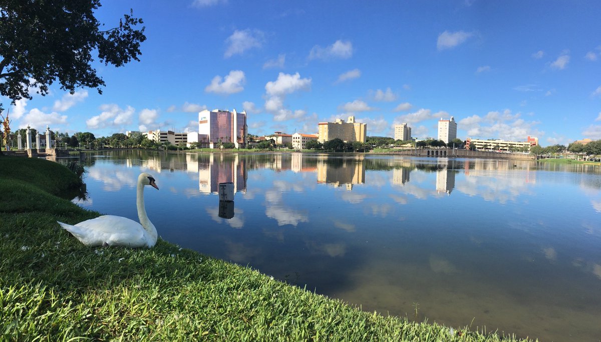 ProducerDavidTV's tweet photo. Lake Mirror. Lakeland 09/08/18 @WFLALeigh @WFLAEd @sjervewfla @WFLA https://t.co/X4GTcjWSBm