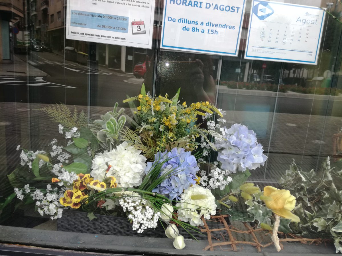 FlorsSantacreu's tweet photo. Decoració de l'aparador d'@ATFConsultors amb flor artificial. #aparador #florartificial https://t.co/a1inLF0pNI