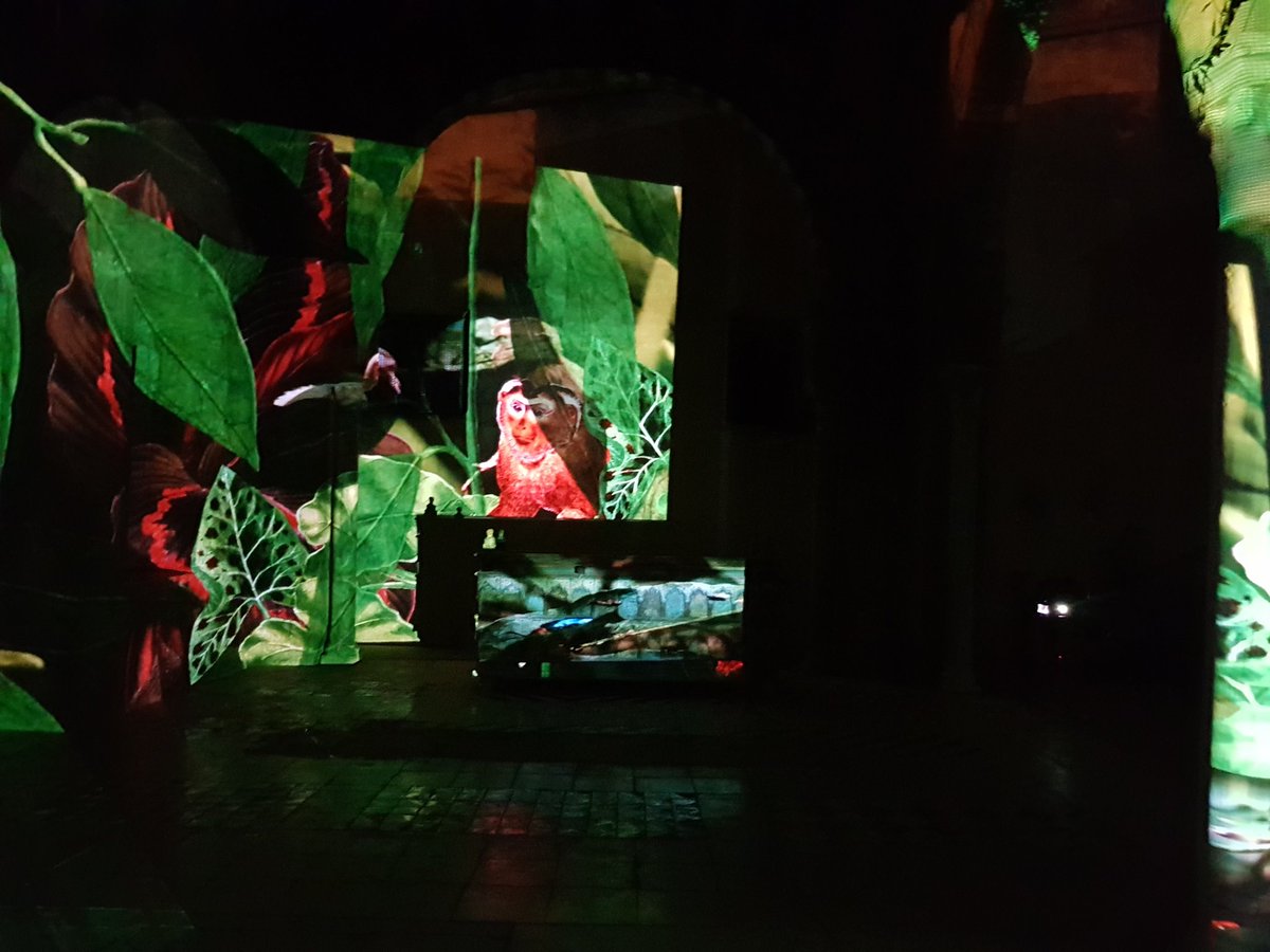 EmnaMizouni's tweet image. زاوية سيدي بوخريصان.
#ضوي_المدينة #احكيلي #تاريخ