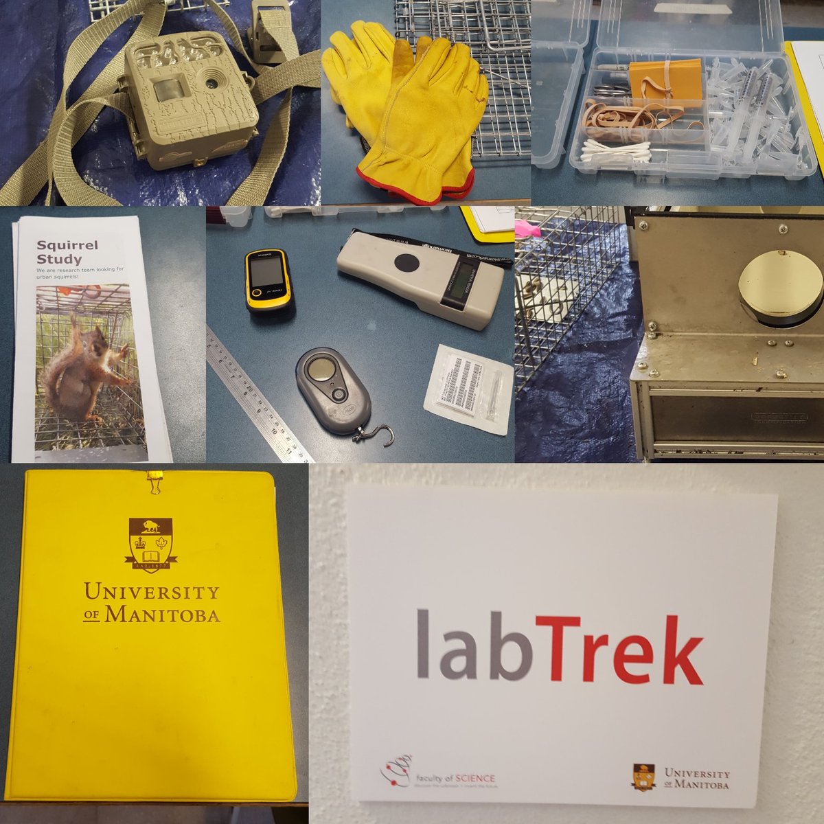 WPG_Squirrels's tweet photo. Having fun talking about our work with undergrads at LabTrek @umanitobasci! #scicomm https://t.co/WlEm84QfGi