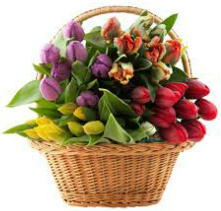 gyanprakash_bjp's tweet photo. @ajaykumar2697 22हजारी बन गये अजय जी बधाईया शुभकामनाएं😊🎉🎉💐💐👏👏👏👏👍
डीजल पेट्रोल की किमतो की तरह आप भी दिन दूनी रात चौगनी कर रहे है 😇😇😜😜😝😝

जल्द ही 100k क्लब मे आप पहुँचे 
कारवा का विस्ता�� हो 
फिर से मोदी सरकार हो😊😊🙌🙌
#जय_श्री_राम 🚩🚩 https://t.co/hTwGwS0SHb