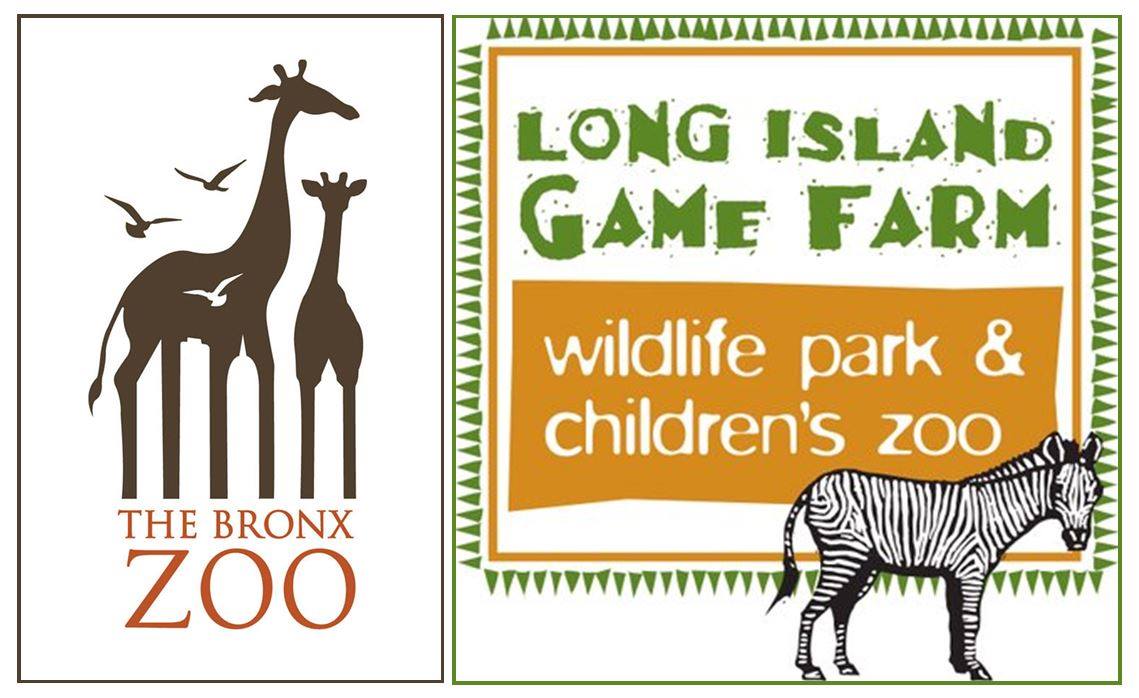 Long Island Game Farm Giraffe Clipart