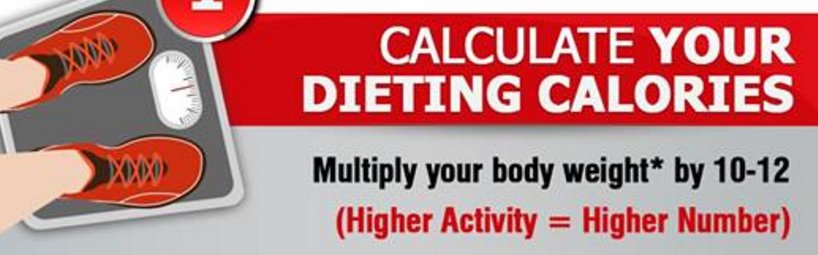 flexin_sexy's tweet photo. Why Donuts Aren't Bad for You | IIFYM article  → https://t.co/TCsoXqMkRA #diet #iifym #macros #food infographic #fitness #fit #gym https://t.co/ryEdtFf1SD