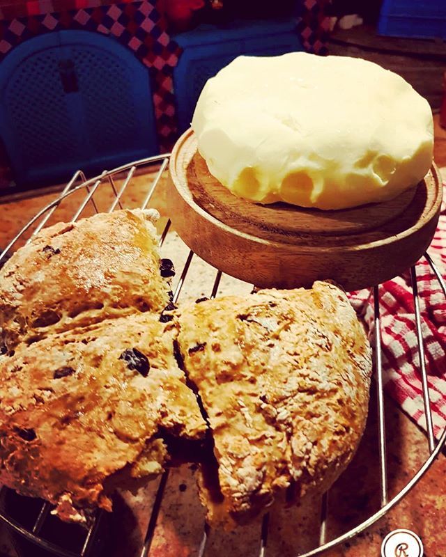 ChefRajiGupta's tweet image. And that’s final look!!!!!!
Homemade Butter and Spotted Dog (Irish white soda bread)😍 #irishbread #spotteddog #homemadebutter #ballymaloecookeryschool #ilovewhatido #homemade #artisan #glutenfreesoda #kitchenaid #kitchenaidartisan