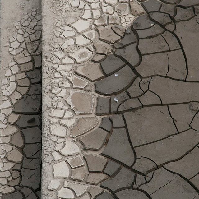 PaulShillabeer's tweet image. Surprisingly not my skin! Dried mud down by the river bank. 
#inpiration #patterns #river #riverbank #mud #photography #crackingup #summer #newport ift.tt/2Nuv4IW