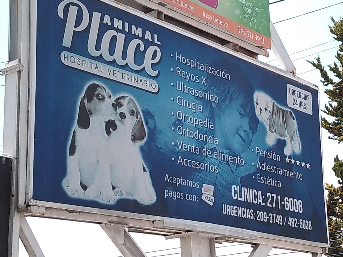 limentoSegura's tweet photo. Recomendando a nuestros amigos de "Hospital Veterinario" #AnimalPlace, no olviden que aquí también pueden encontrar nuestro Producto.
#DietaBarf #AlimentaciónSegura https://t.co/ukpXqu2W7U