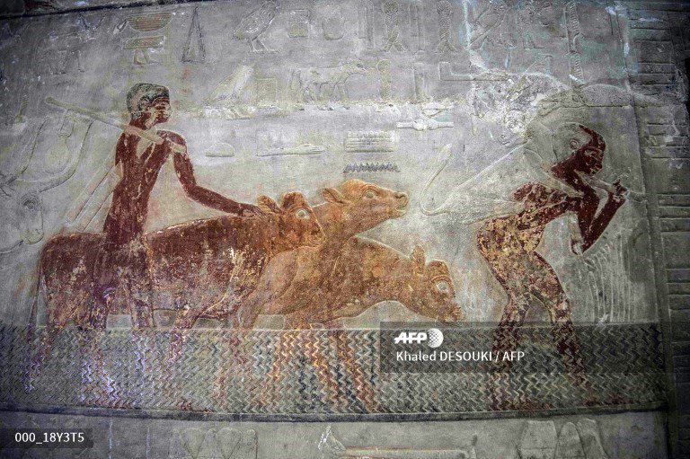 AureliaBAILLY's tweet photo. 🇪🇬 Pictures taken inside the tomb of Mehu during its inauguration for the first time since its discovery in 1940. #AFP 
📸 Khaled Desouki https://t.co/rsb8a0aY5h