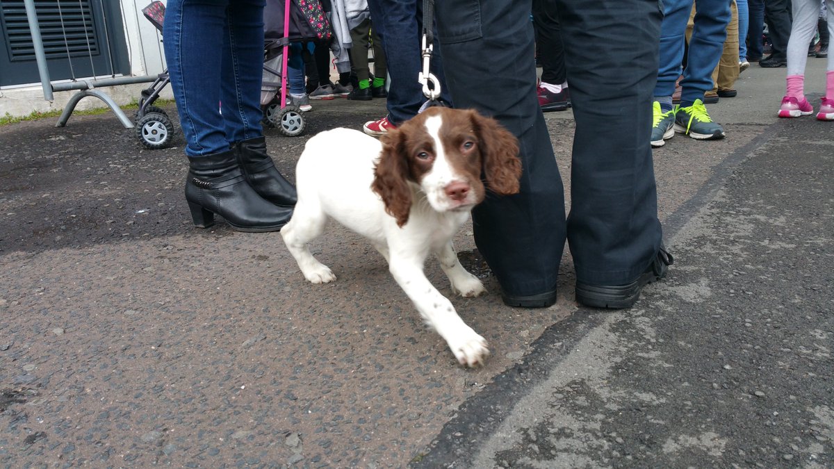 BillesleyWMP's tweet image. A wonderful event @BillesleyFire . It was great to see so many attend, #WMNow, #ActiveCitizens. #PDDelph woke up after the end of the day - remember we start our #CommunityWardCafe on Monday at 11.00 #WarstockCommunityCentre. @InspMurrinWMP @martin_cadd