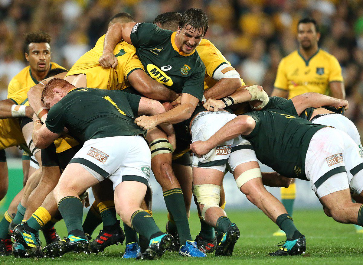 download sa rugby news 24 download sa rugby news 24