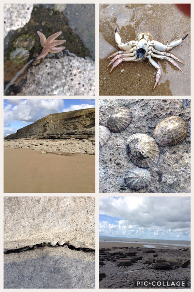 Just a snippet of Year 7's finds, exploring space at Southerndown #ogmorebysea #schooltrip 
#year7areawesome #motivatedtostrive #maesteg18 #art #expressivearts