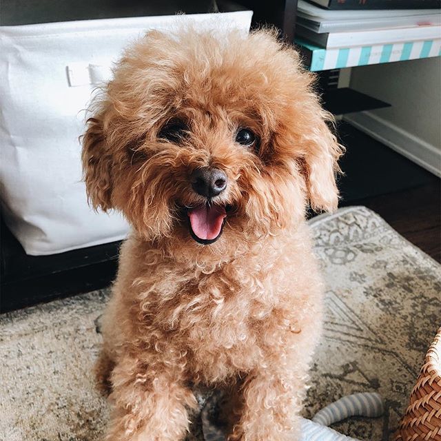 loganslook's tweet photo. My weekend face 😛 https://t.co/iZ6Gyg4s07 https://t.co/otRdFRvoGi