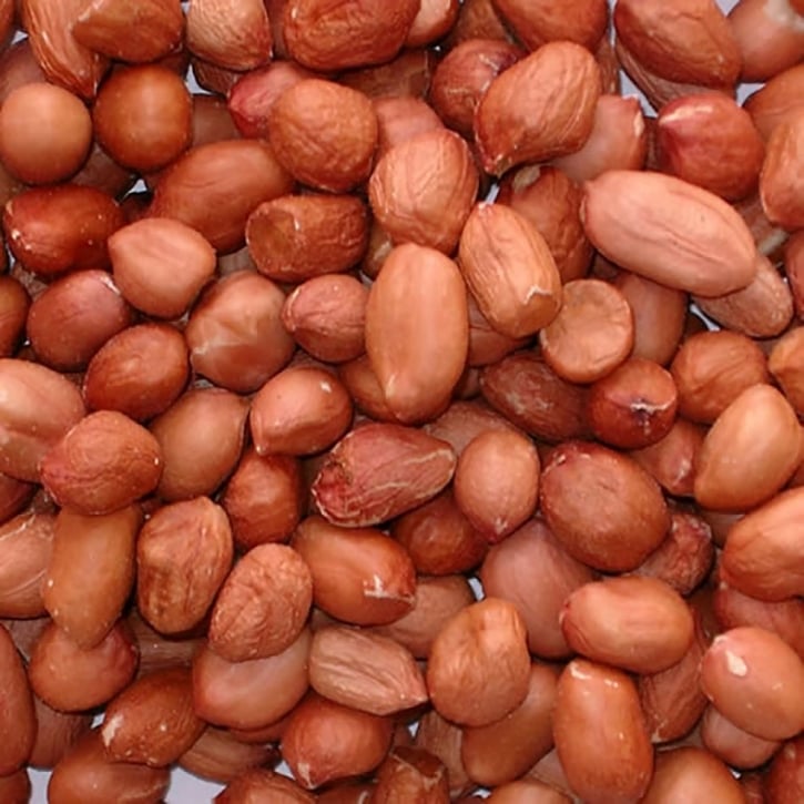PetsBTN's tweet photo. Looking for premium quality wild bird feed for upcoming season?
Look no further - our peanuts are premium grade 60/70, nyjer seed, black sunflower,  sunflower hearts, striped sunflower all in bulk 25kg bags. Full range of 5kg tubs also available. https://t.co/PSMr3mytK1