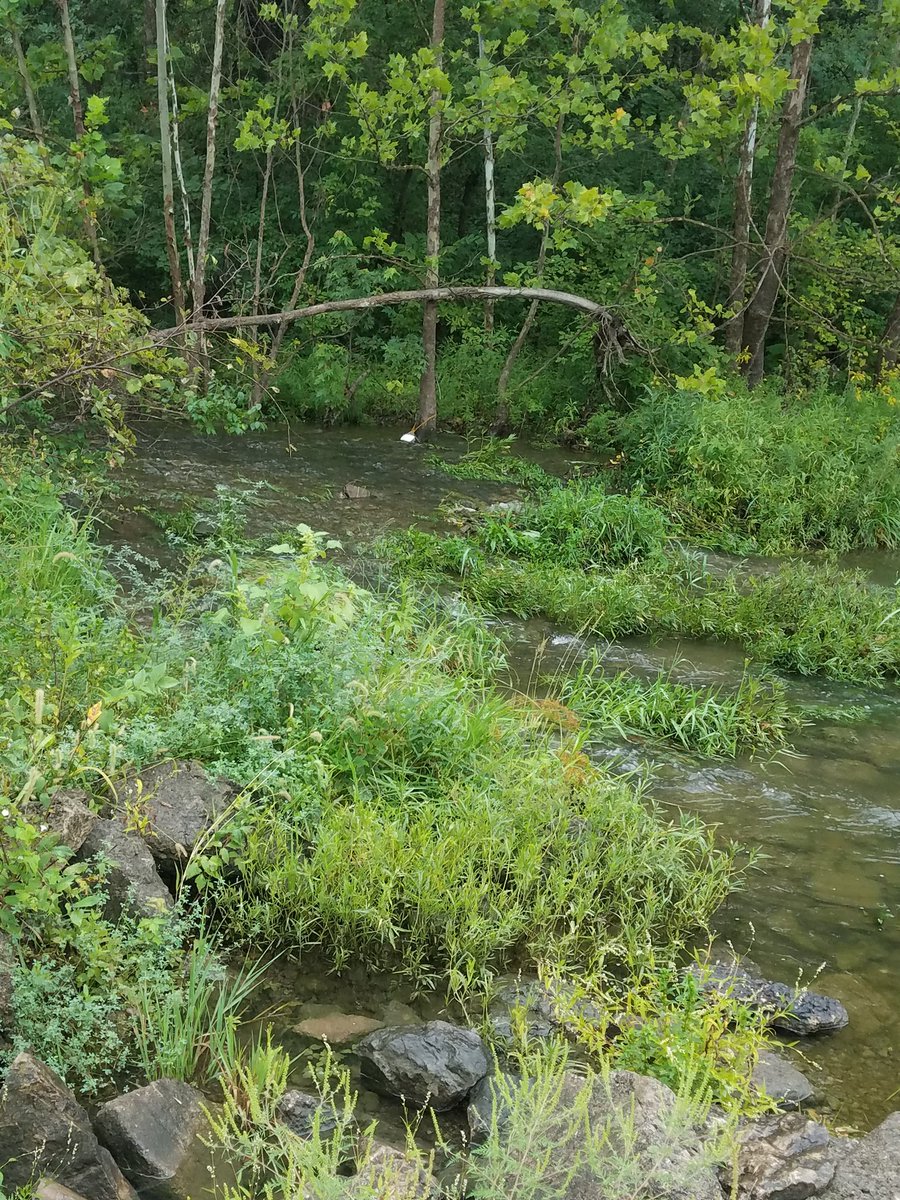 StroudCenter's tweet photo. RT @kluthescience: A little preview of my @ksbioteachers presentation on stream ecology. @StroudCenter @ConcordDotOrg #LeafPack https://t.co/7FBktYcuQX