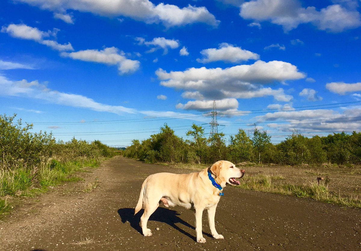 NoConceptOfTime's tweet photo. Last time I was in here it was an actual functioning steelworks #Gartcosh #Stripmill #Smith&amp;McLean https://t.co/3LyHWLxiZN