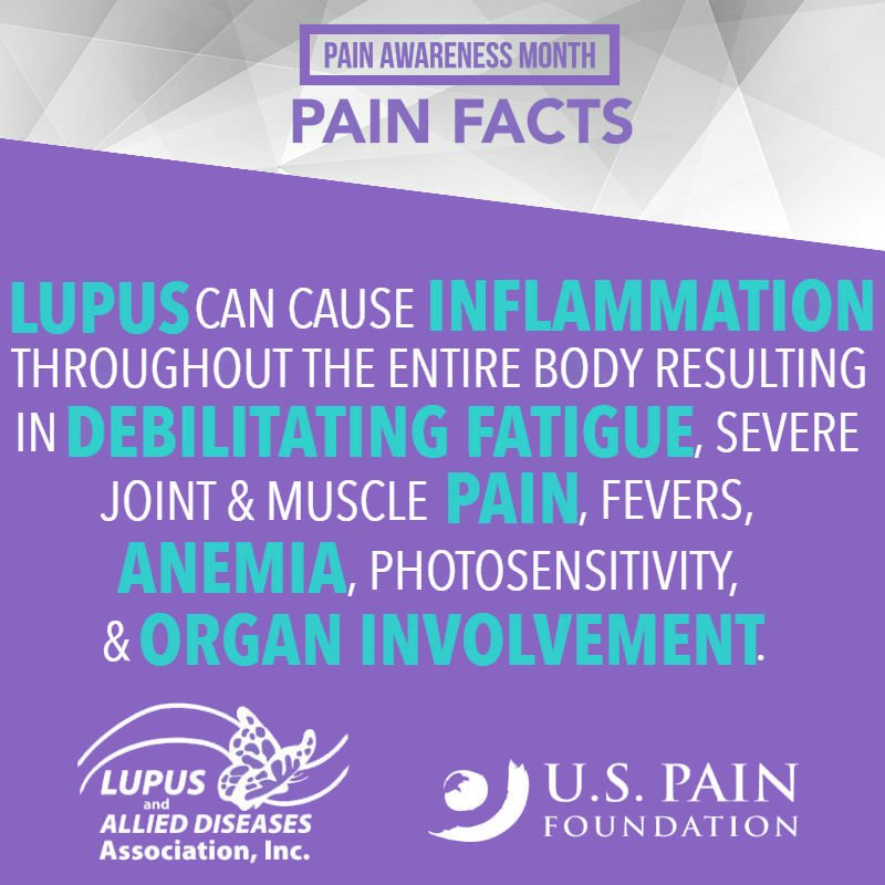 US_Pain's tweet photo. #Lupus is an extremely complex chronic autoimmune condition that is highly individualized, life altering, unpredictable, & difficult to diagnose, live with & treat. #PainWarriorsUnite #PAM2018 #PartnerPainPosts @LADAOrg https://t.co/L58apkvqa8