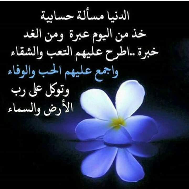 طوق الياسمين (@t0eifybemffzyg9) on Twitter photo 