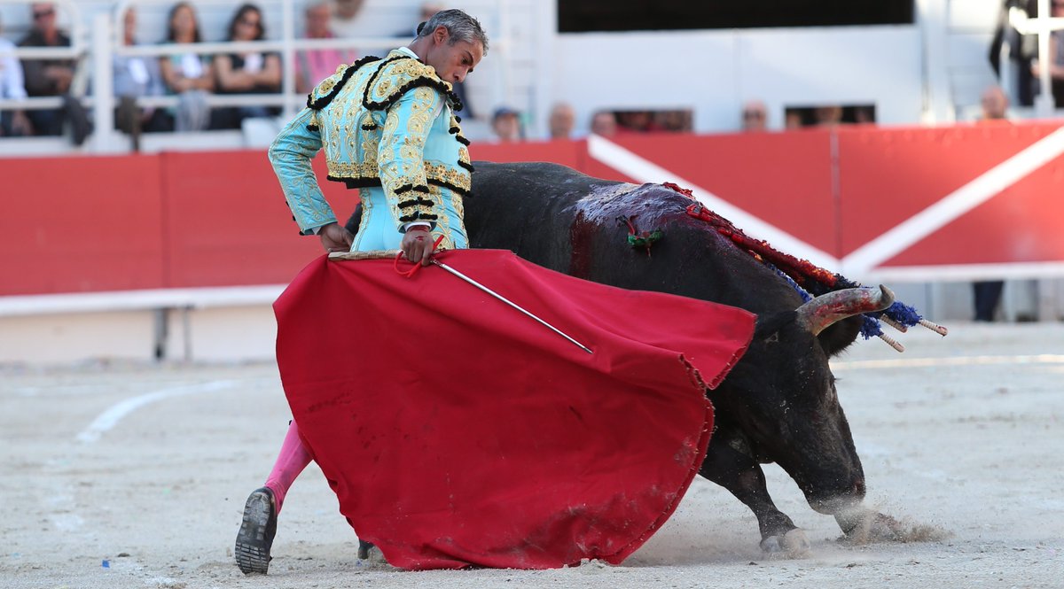 TOROS Mehdi Savalli devient banderillero - objectifgard.com/2018/09/08/tor… via <a href="/objectifgard/">ObjectifGard</a>
