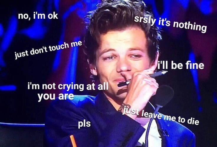 sottsteph's tweet image. #1000daysof1D