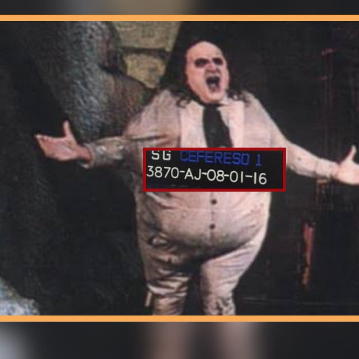 perla martinez tweet media