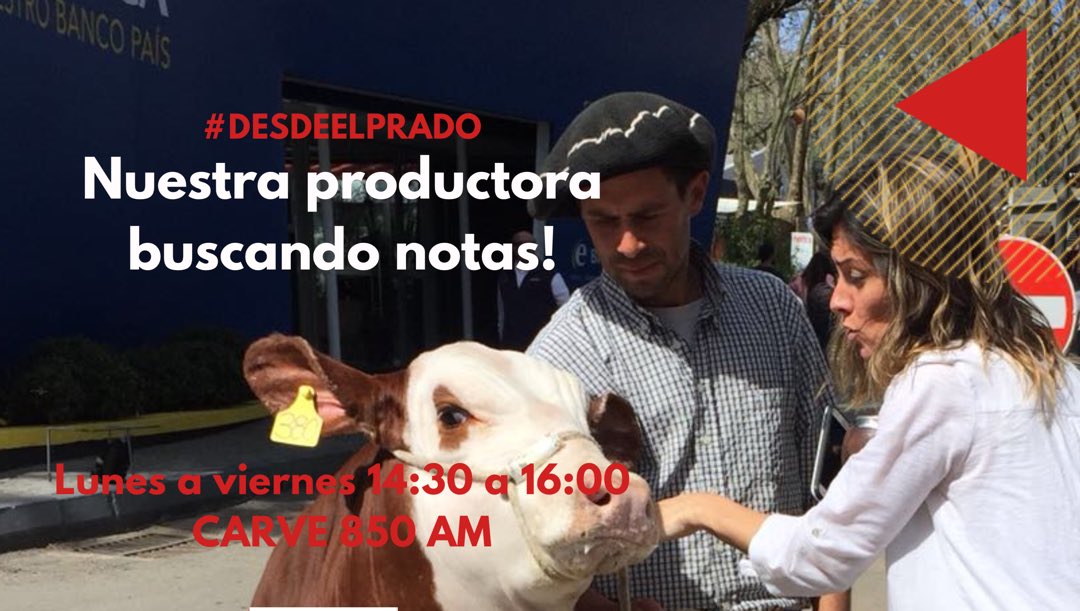 RecalculandobyM's tweet photo. Una de nuestras productoras @lolado32 a full buscando notas!! @carve850 en @ExpoPrado https://t.co/zTJIV2njFG