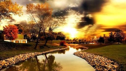 AmorEcologista's tweet photo. Necesito atardeceres así en mi vida
😍✨ https://t.co/iHh5VpzZKF