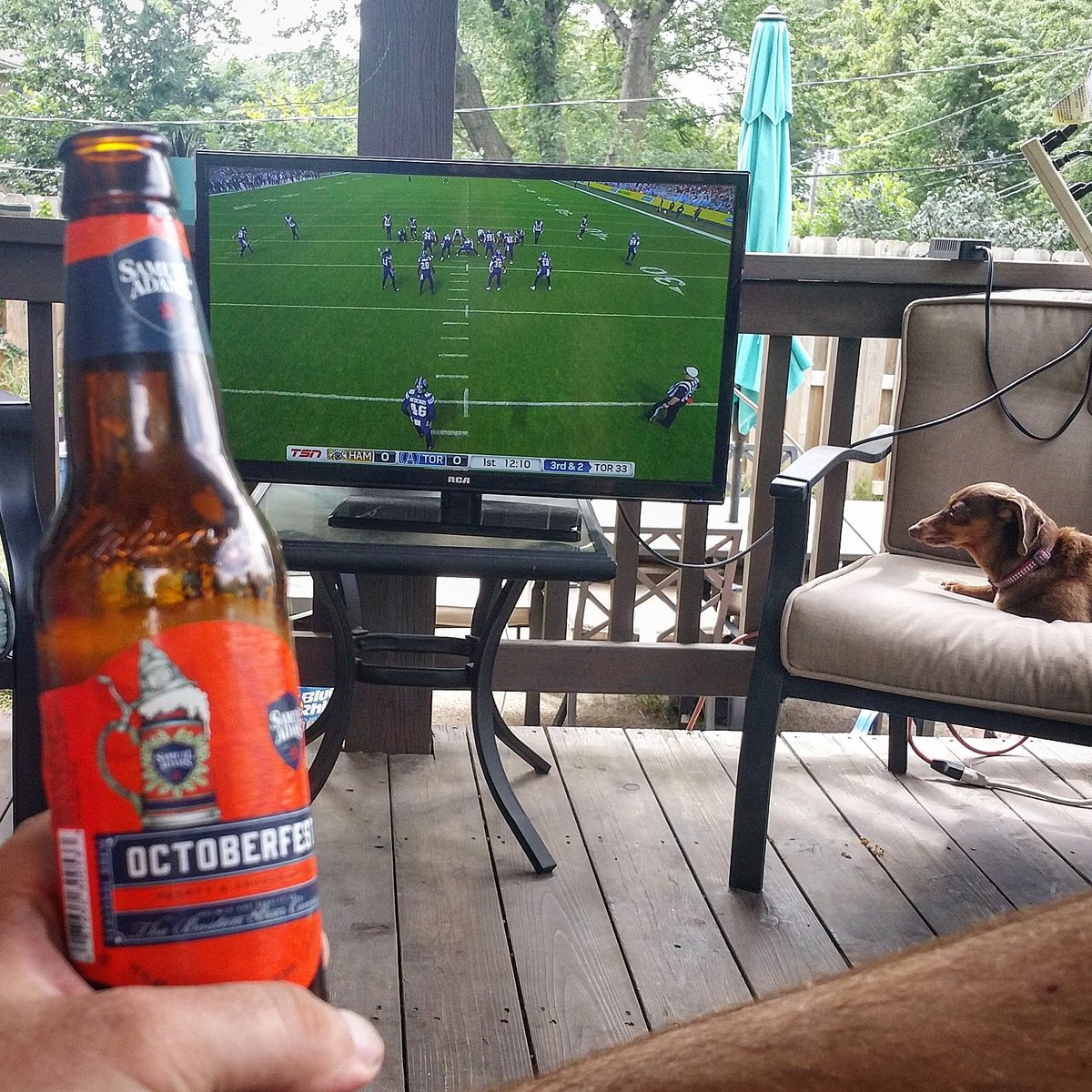 buzzilinear's tweet image. Gonna be a good day. #LawnMowed #TripleHeader #cfl #LabourDayRematch #BanjoBowl