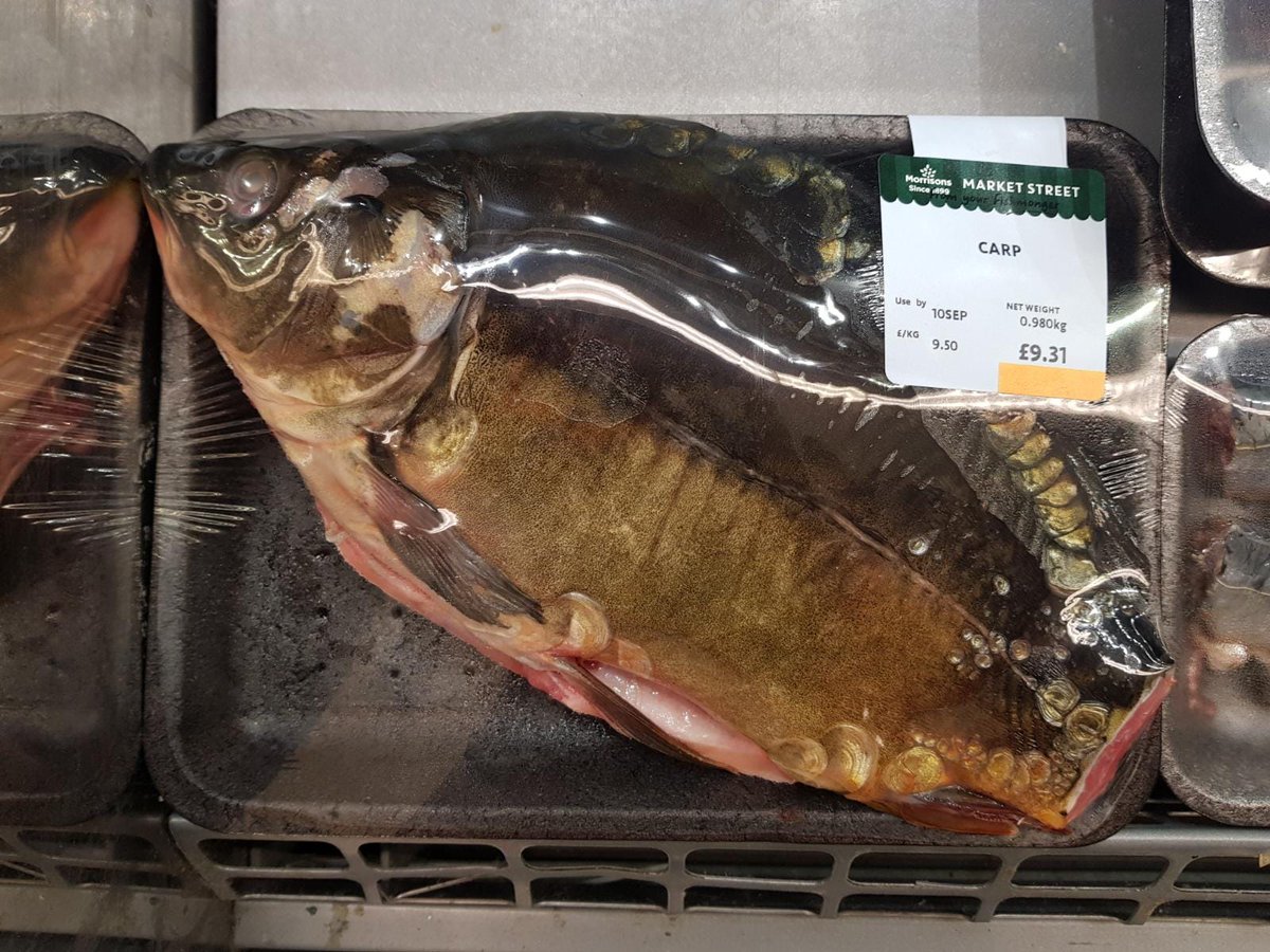 Branty17's tweet photo. Don't know how quite to take this! 😱😱 I know we eat fish but that's sea fish can't believe there's carp @SjBrant7 @AliHamidi @TomDove11 @MarkMarkyb1 @TeamMainline @angling_times @FryerningXLCarp #unimpressed @EnvAgency https://t.co/ENporbPOer