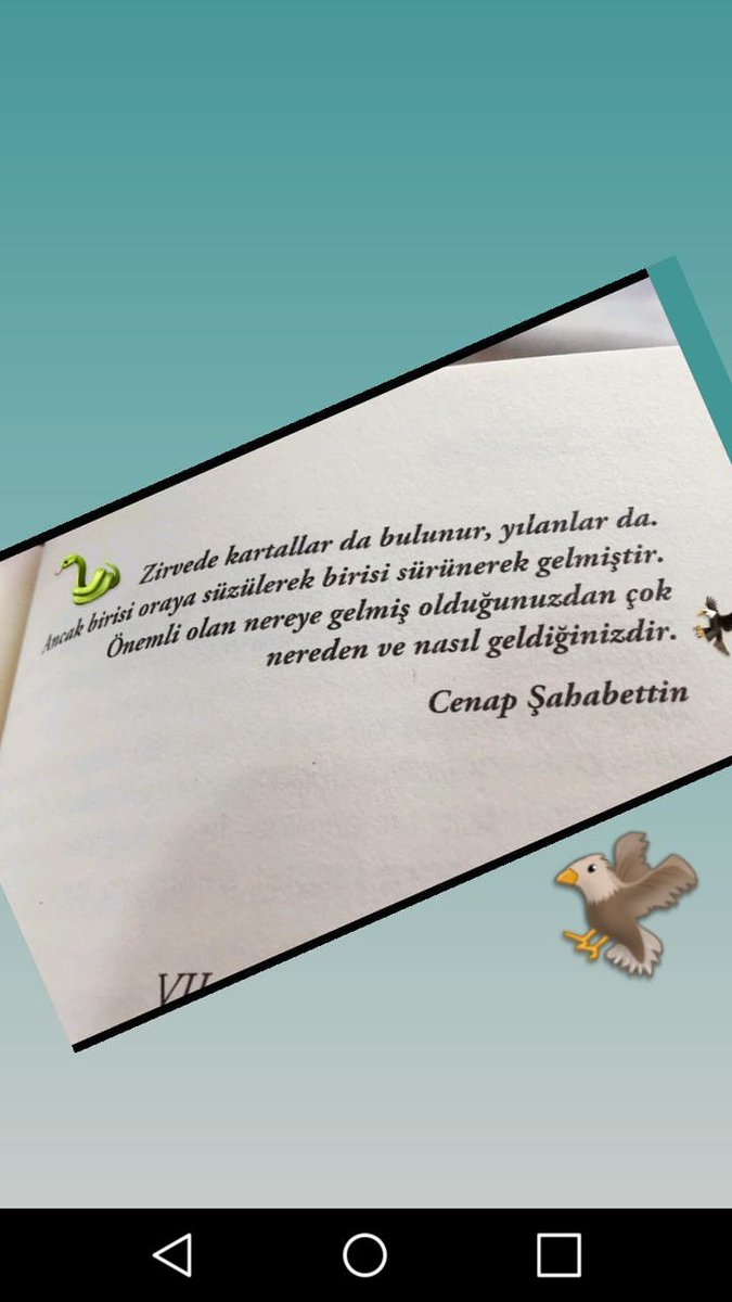 Ali Caner Özşahin (@kanarya_53) on Twitter photo 
