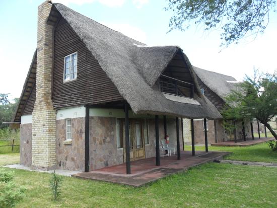 Destination_Zim's tweet photo. Looking for somewhere to just let loose & immerse yourself in the throws of the outdoors? #GandaLodge is the place - overlooking the #Ganda Pan, a natural #waterhole attracting a wide variety of & animal species https://t.co/7gKjbKatVe #Hwange #trackthattravel #VisitZimbabwe https://t.co/RpG4yH5I2P