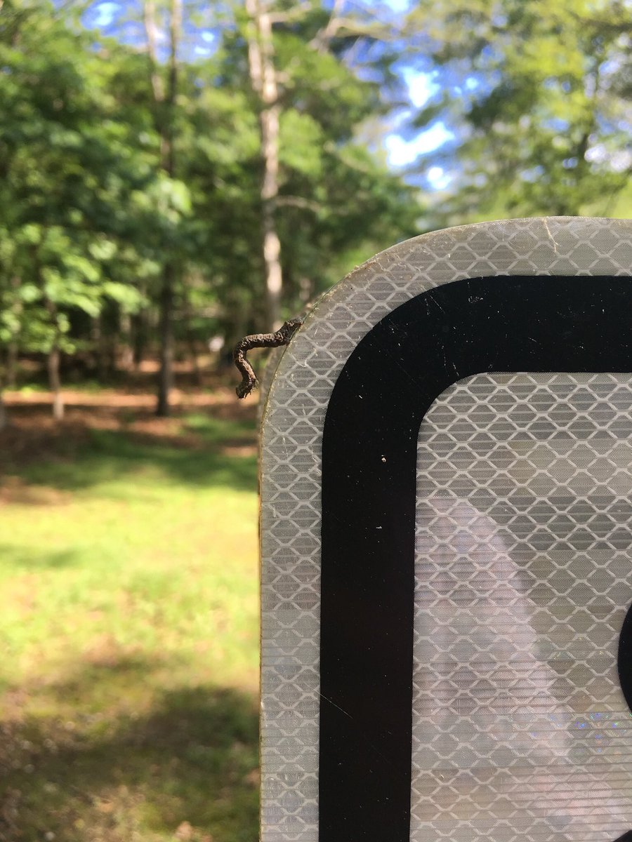 mtrushkowsky's tweet photo. Say hello to my little friend. #units #howmany #mathphoto18 https://t.co/Qa0bPJ4fUf