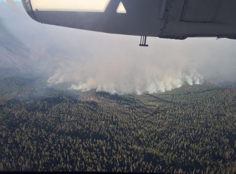 ActionNewsNow's tweet image. Forest officials say there's still no containment on the 1,625 acre #KerlinFire in #TrinityCo. It started Wednesday and is burning near Hyampom. An evacuation order is in place for part of Co. Rd. 311. A shelter has been opened in Hayfork. actionnewsnow.com/content/news/K…
