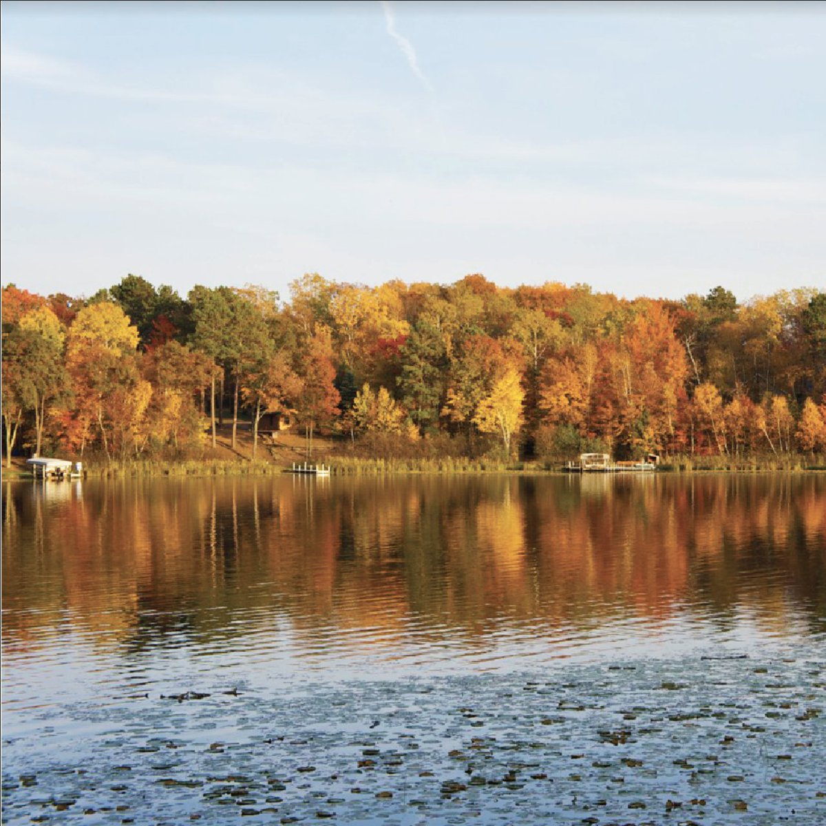 Gull Lake Cruises tweet media