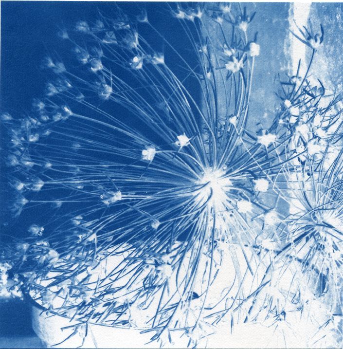 *Members Spotlight*

Jenny Mathers "My work is inspired by the environment in which I live in the Tyne Valley. Having trained in research science I am inspired to investigate and create in the cross-over between #art and #science."

Find out more - buff.ly/2NWA3PB