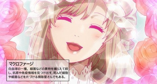 アニメ はたらく細胞 １０話感想ツイートまとめ Togetter