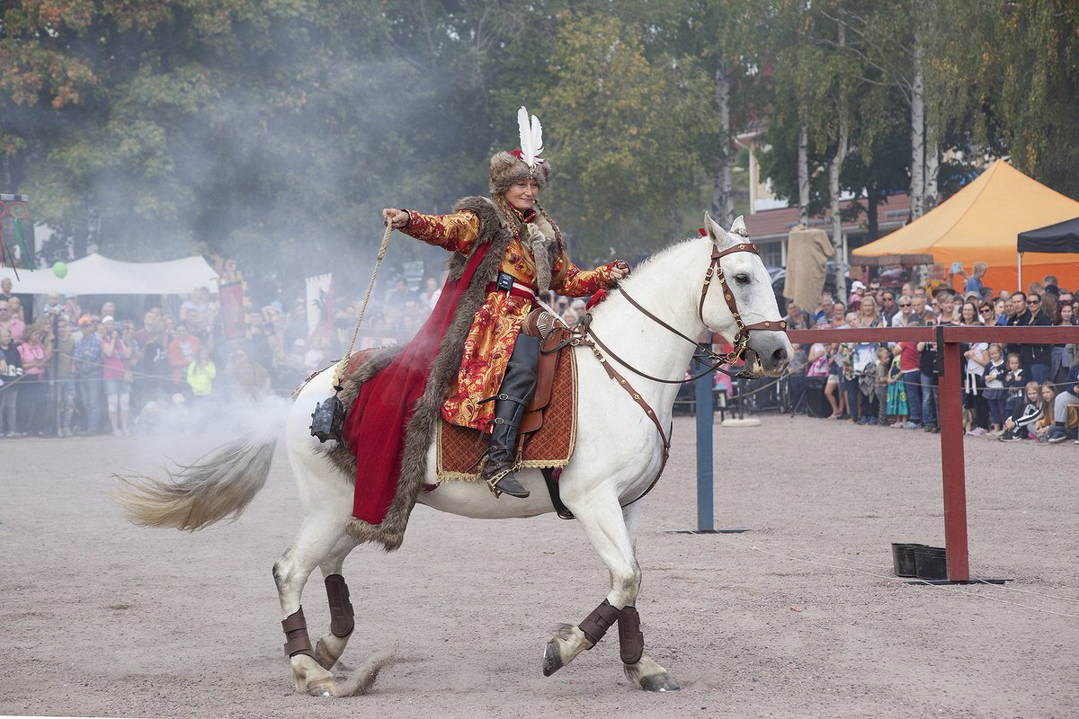 merineider's tweet photo. Today was medieval Market day at #septemberopen in Taalintehdas #Finland. These shots are from amazing #tournament show by awesome @rohantallit. #jousting #medieval #socool #Imsotirednow https://t.co/VenUoPT9WI
