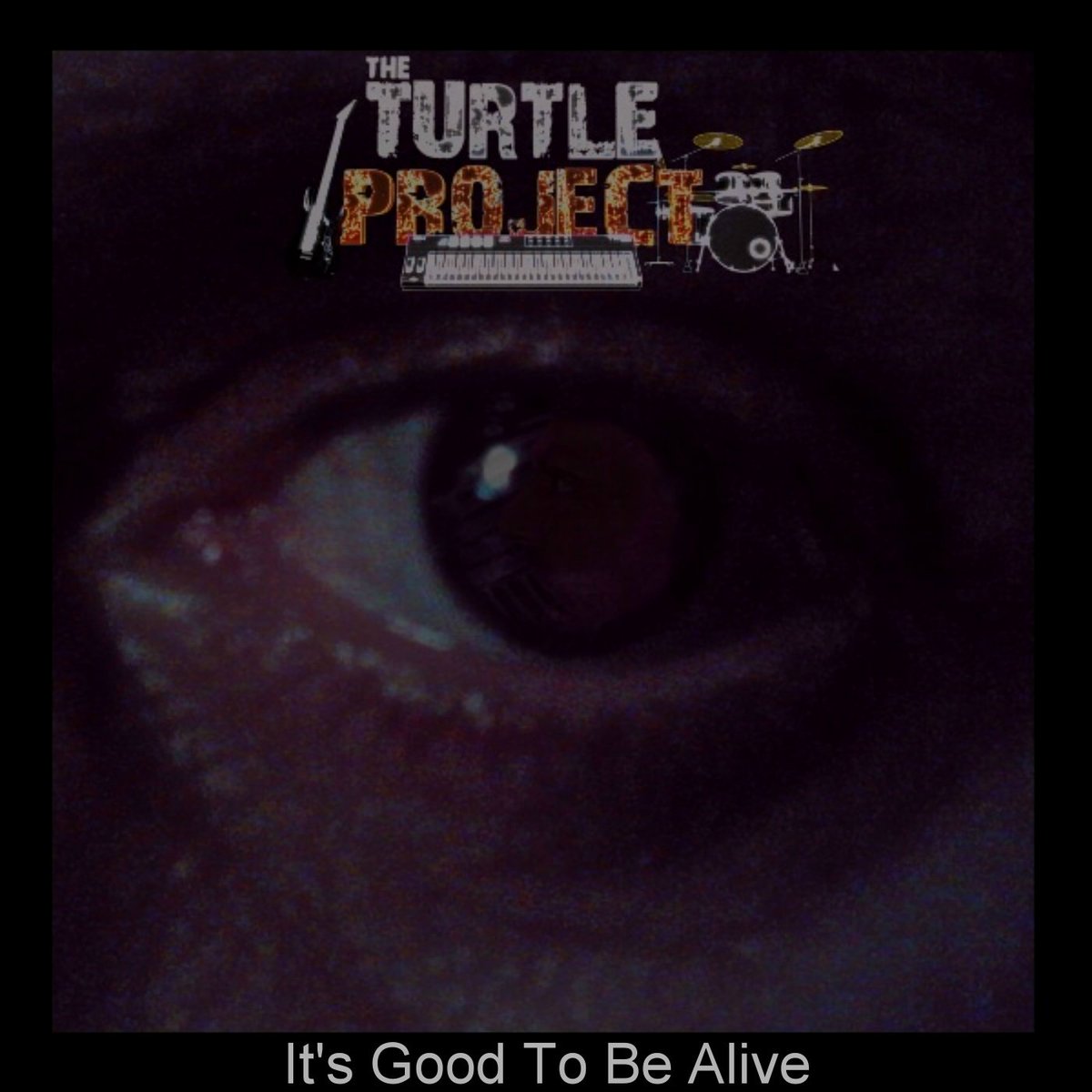 It`s Good To Be Alive by The Turtle Project