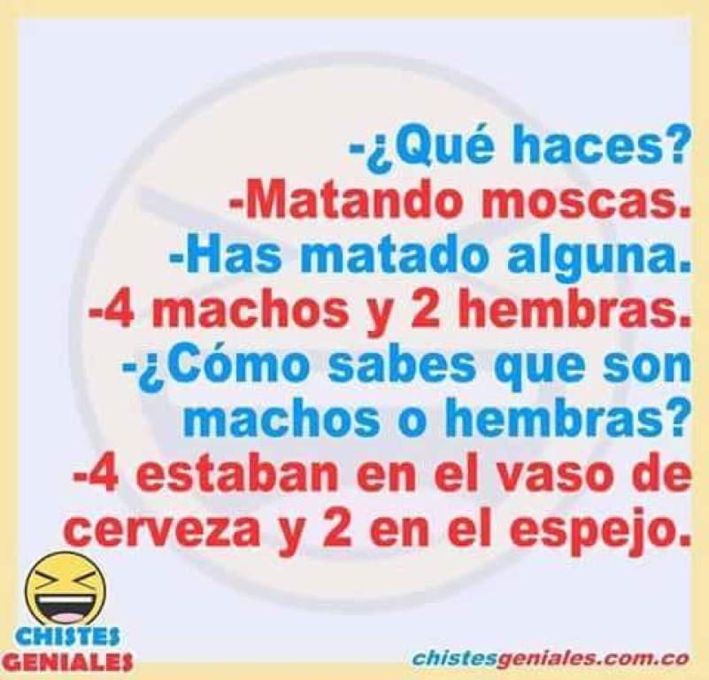 Twitter 上的 Diario El Heraldo："Los mejores chistes cortos de la semana  ▻https://t.co/3fI05mNZ5u https://t.co/PdzoA7qO8r" / Twitter