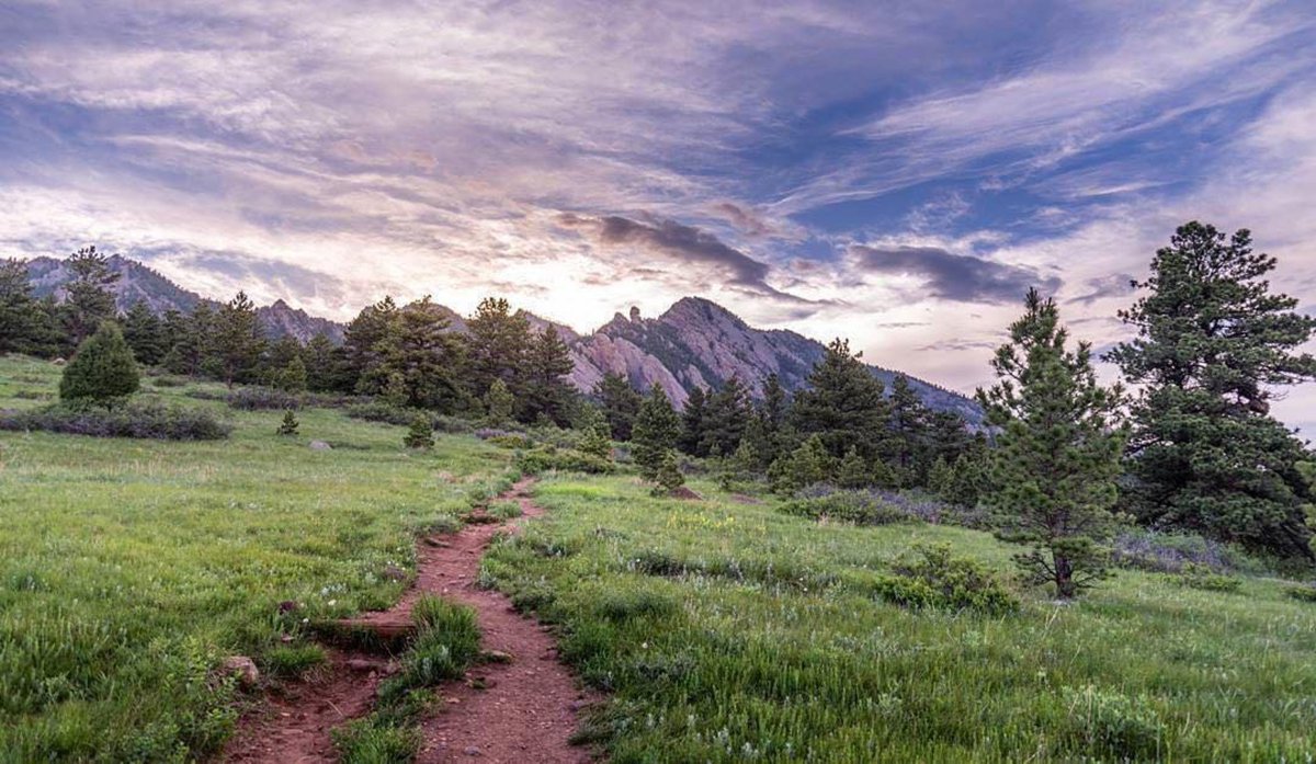 bouldercolorado's tweet photo. A wow-worthy #Boulder sunset captured on the South Mesa Trail. 📷: ksway.26 via Instagram. https://t.co/uzfz2O2CeX