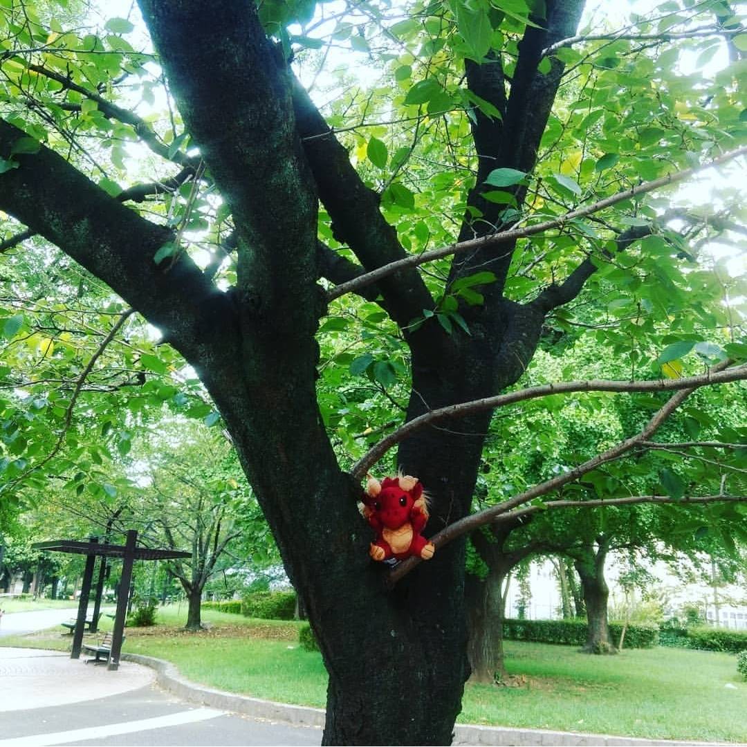 animethon's tweet photo. (RYU!! GET DOWN FROM THE TREE!!)
But isn't this the Eiff–... Tokyo Tower?
#ryuinjapanAT #randompark https://t.co/Hvwt0WzGkV